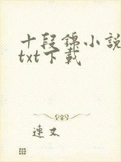 十段锦小说全本txt下载封面