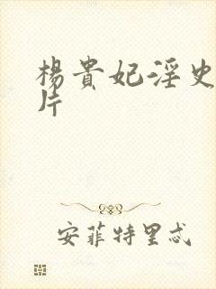 杨贵妃淫史一级片