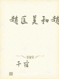 赵匡美和赵匡胤