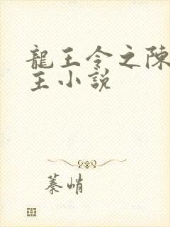 龙王令之陈平殿主小说