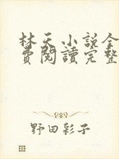 林天小说全文免费阅读完整