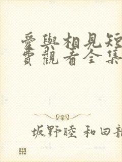 爱与相见短剧免费观看全集最新章节