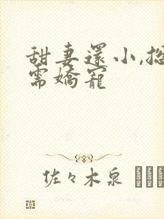 甜妻还小,总裁需娇宠