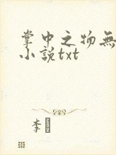 掌中之物无删减小说txt