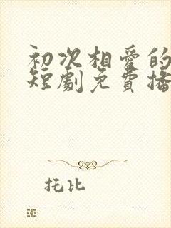 初次相爱的我们短剧免费播放