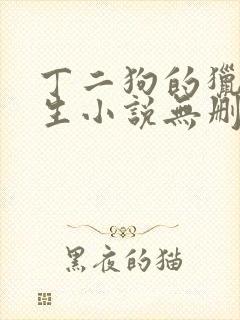 丁二狗的猎艳人生小说无删减小说封面