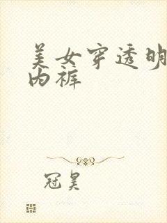 美女穿透明雷丝内裤