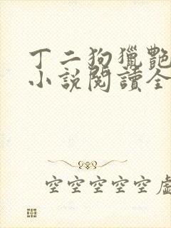 丁二狗猎艳人生小说阅读全文