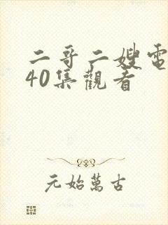 二哥二嫂电视剧40集观看
