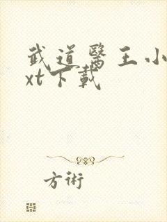 武道医王小说txt下载