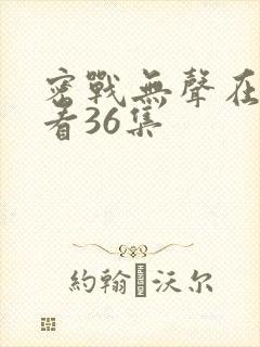 密战无声在线观看36集