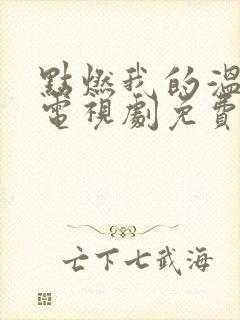 点燃我的温暖你电视剧免费观看高清