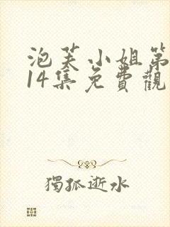 泡芙小姐第六季14集免费观看全集