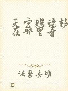 天官赐福动画片在哪里看