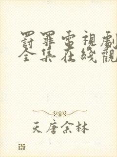 罚罪电视剧免费全集在线观看高清