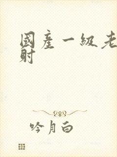 国产一级老妇内射