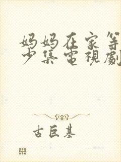 妈妈在家等你多少集电视剧