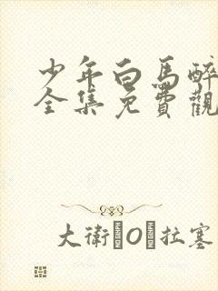 少年白马醉春风全集免费观看全集