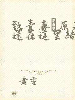 致青春·原来你还在这里结局封面