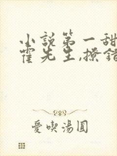 小说第一甜妻:霍先生,撩错了