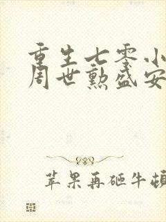 重生七零小辣媳周世勋盛安宁