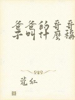 爸爸的哥哥的儿子叫什么称呼封面