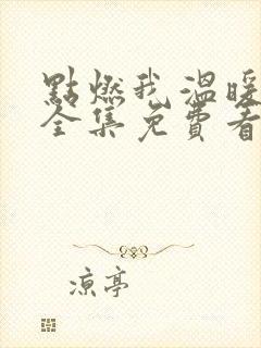 点燃我温暖你在全集免费看电视剧