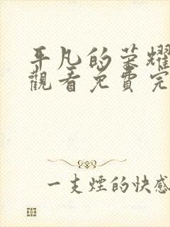 平凡的荣耀在线观看免费完整版