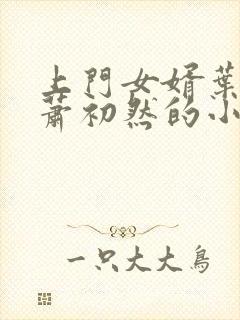 上门女婿叶辰和萧初然的小说最新章节