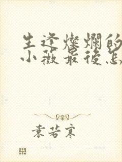 生逢灿烂的日子小薇最后怎么样了