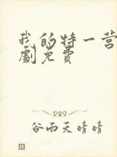 我的特一营电视剧免费
