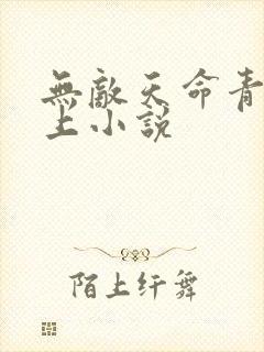 无敌天命青鸾峰上小说
