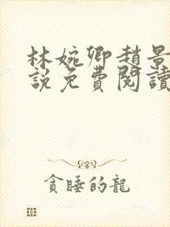 林婉卿赵景玄小说免费阅读最新章节