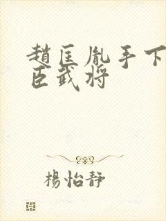 赵匡胤手下的文臣武将