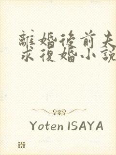 离婚后前夫哭着求复婚小说免费完本