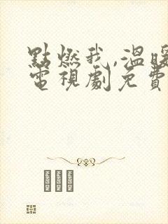 点燃我,温暖你电视剧免费版全集封面