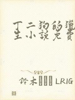 丁二狗的猎艳人生小说免费全文下载