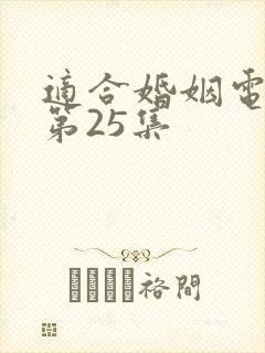 适合婚姻电视剧第25集封面