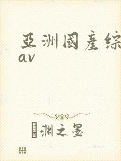 亚洲国产综合性av