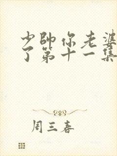 少帅你老婆又跑了第十一集封面