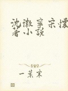 沈徽宁宋怀砚原著小说