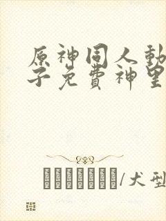 原神同人动画片子免费神里绫华封面