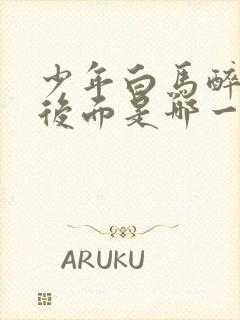 少年白马醉春风后面是哪一部