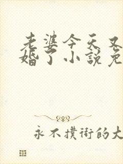 老婆今天又想离婚了小说免费阅读