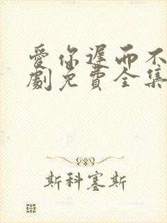 爱你迟而不晚短剧免费全集免费播放