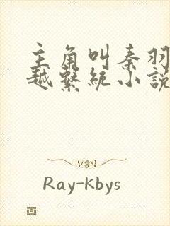 主角叫秦羽的穿越系统小说