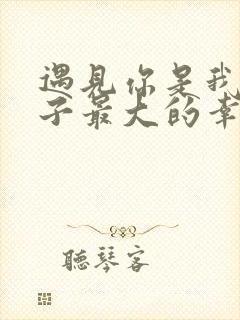 遇见你是我这辈子最大的幸运