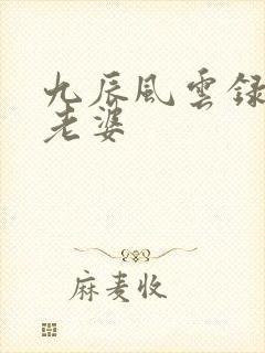 九辰风云录几个老婆封面