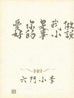 爱你是我做过最好的事小说下载