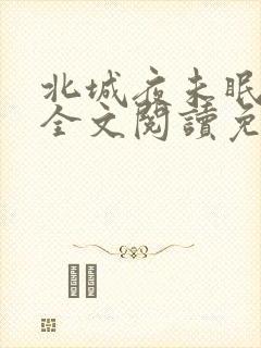 北城夜未眠小说全文阅读免费封面